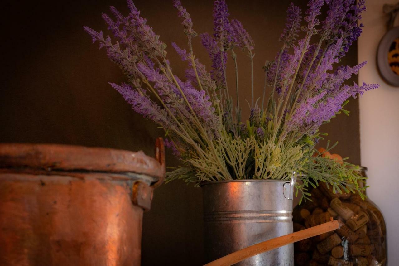 Agriturismo Le Capannacce Урбания Екстериор снимка